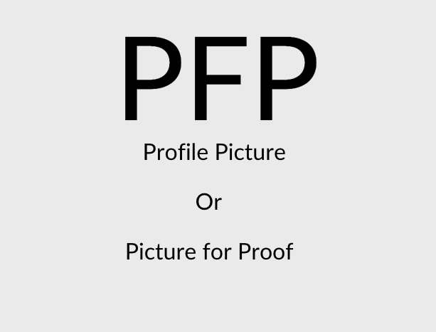 PFP meaning profile picture or picture for proof