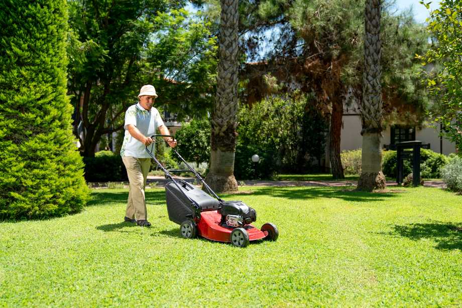 Lawn Mower
