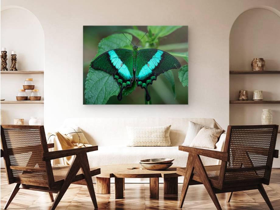 Acrylic Photo Print on Wall