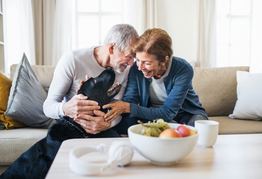 Retirement couple with a dog
